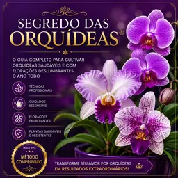Segredo das Orquídeas - Premium