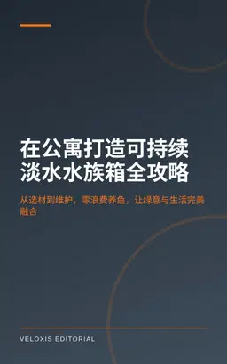 在公寓打造可持续淡水水族箱全攻略