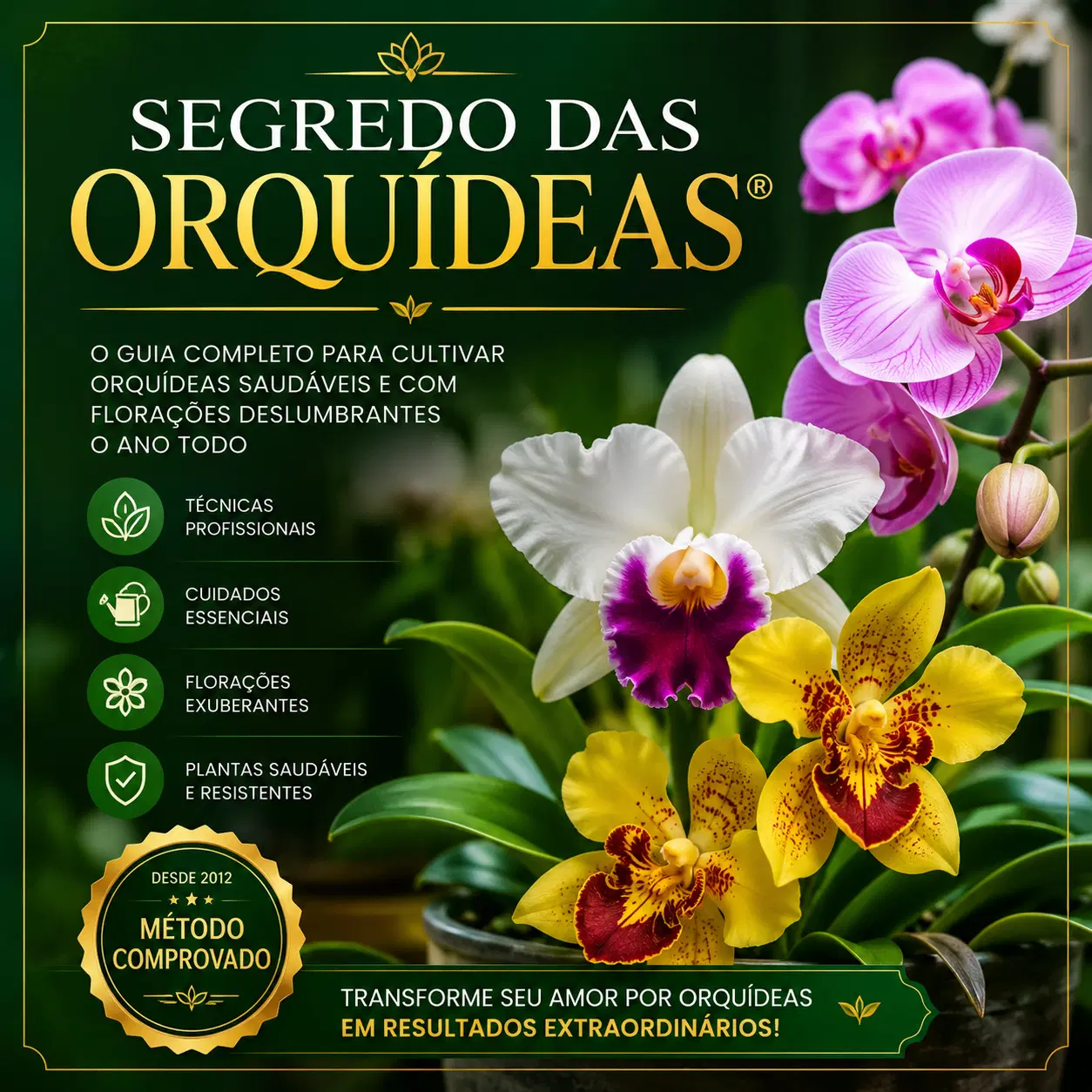 LEVE 3 BÔNUS EXCLUSIVO