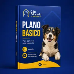 Plano Essencial