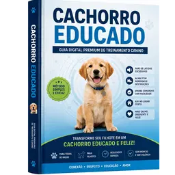 Cachorro Educado