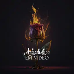 Achadinhos em vídeo - Grupo de videos