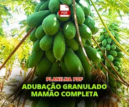 PLANILHA ADUBAÇÃO POR COVA MAMÃO