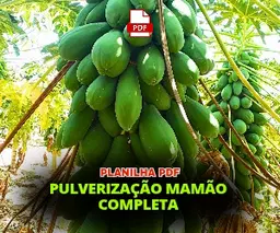 PLANILHA PULVERIZAÇÃO MAMÃO