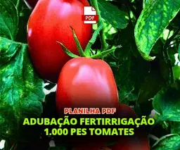 PLANILHA TOMATE FERTIL 1000 PLANTAS