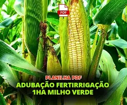 PLANILHA MILHO VERDE FERTIL 1HA