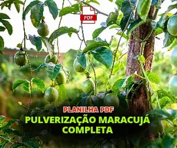 PLANILHA PULVERIZAÇÃO MARACUJA