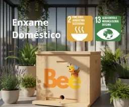 Casa Consciente Save a Bee