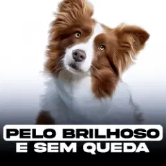 PELO BRILHOSO E SEM QUEDA