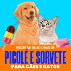 RECEITAS DELICIOSAS DE PICOLÉS E SORVETES PARA CÃES E GATO