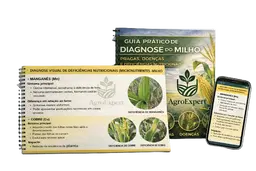 MANUAL PRÁTICO DE DIAGNOSE DO MILHO