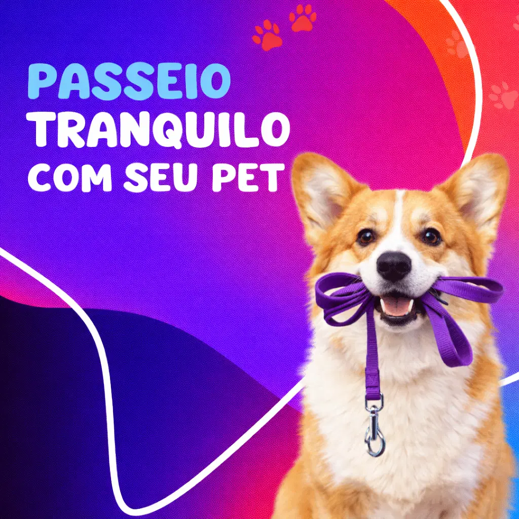 Passeio tranquilo com seu pet