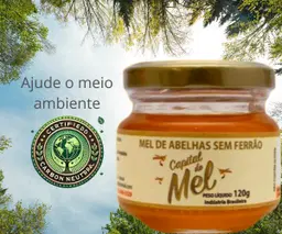 Mel Abelhas sem Ferrão 120g