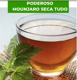 Mounjaro seca barriga - Caseiro