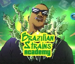 Cultivo e Extração Medicinal BrazilianStrains Academy
