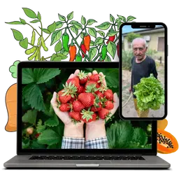 Método Arvores Frutíferas em vasos
