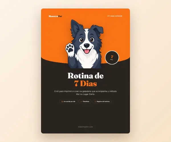 Sim! Quero a Rotina de 7 Dias para imprimir por só R$ 9,90