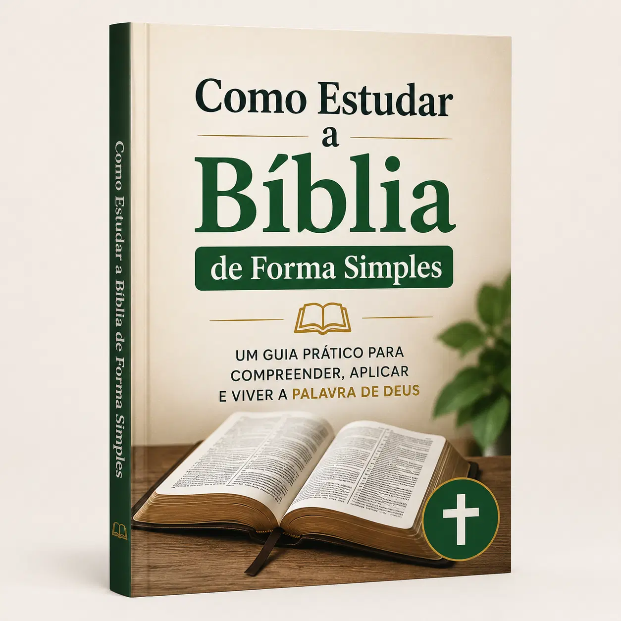 Como Estudar a Bíblia de Forma Simples