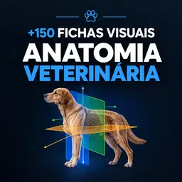 + de 150 Fichas Visuais De Anatomia Veterinária