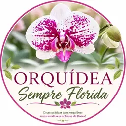 Orquídea Sempre Florida