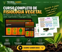 CURSO MFV