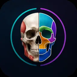 Plataforma Anatomia Inteligente