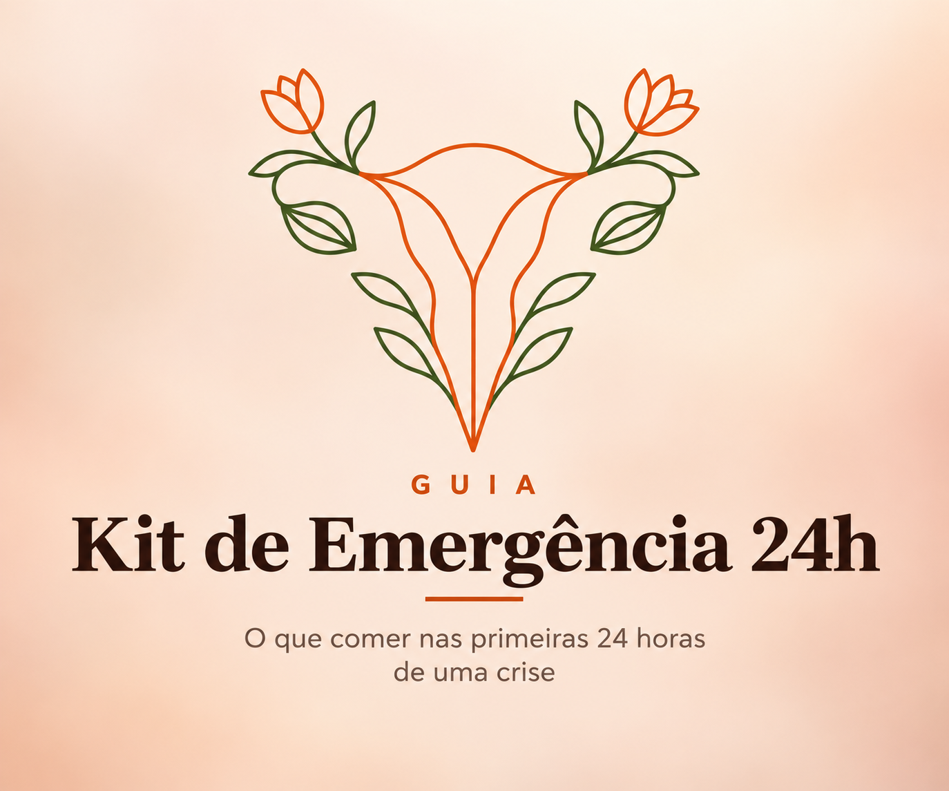 Kit de Emergência 24h