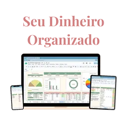 Seu Dinheiro Organizado -  2.0