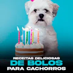 RECEITAS DELICIOSAS DE BOLOS PARA CACHORROS