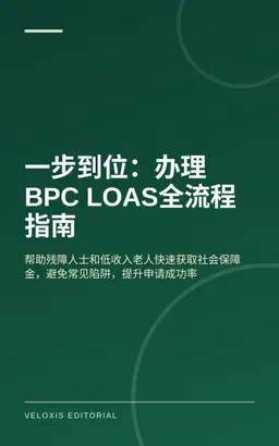 一步到位：办理BPC LOAS全流程指南