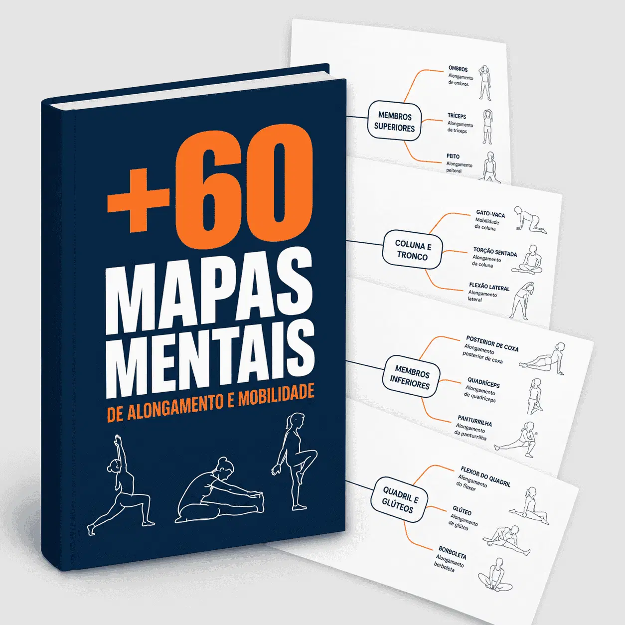 +60 Mapas Mentais de Lesões Mais Comuns na Musculação