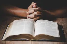 Devocional: 40 Dias de Busca por Deus 🙏📖