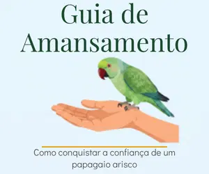 Guia de Amansamento