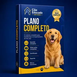 Plano Completo