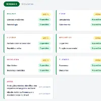 Cronograma Intenso (4 a 11 semanas)