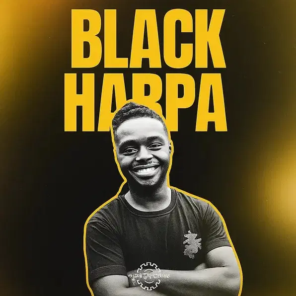 Black Harpa