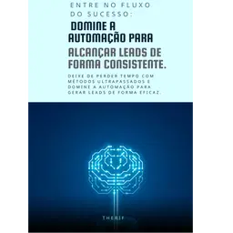 Entre no fluxo do sucesso: Domine a automação para alcançar leads de forma consistente