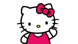 ORGANIZAÇAO FINANCEIRA -  HELLO KITTY